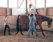Hippotherapie Hippotherapie